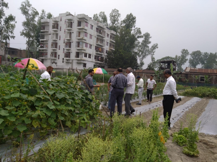 পিইউপির বিষমুক্ত সবজি মাঠ পরিদর্শন করেন সরকারি বেসরকারি কর্মকর্তা ও সনাক নেতৃবৃন্দ